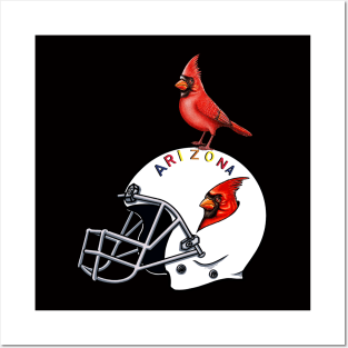 Red Cardinal bird Arizona cardinals Posters and Art